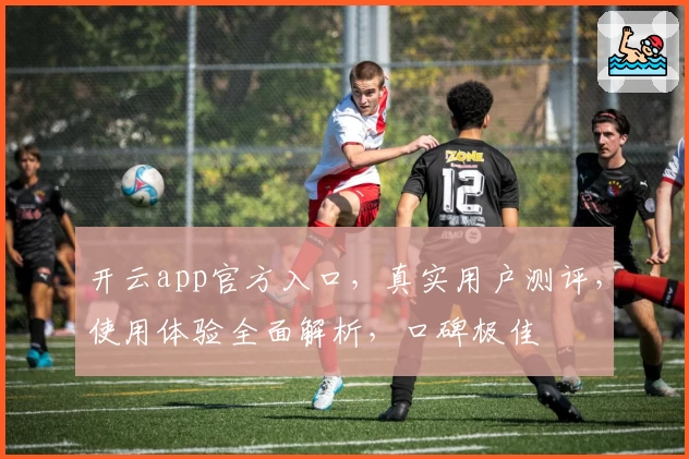 开云app官方入口，真实用户测评，使用体验全面解析，口碑极佳